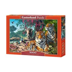Castorland Tiger Reserve -palapeli, 3000 palaa hinta ja tiedot | Palapelit | hobbyhall.fi