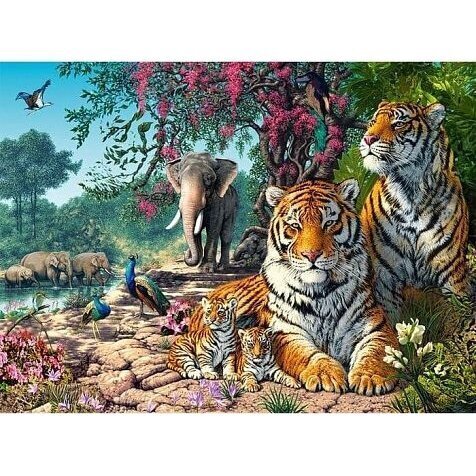 Castorland Tiger Reserve -palapeli, 3000 palaa hinta ja tiedot | Palapelit | hobbyhall.fi