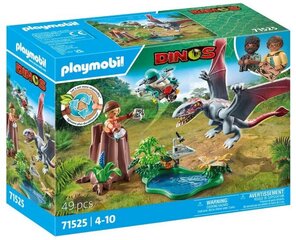 71525 PLAYMOBIL® Dinot, dinosaurukset hinta ja tiedot | LEGOT ja rakennuslelut | hobbyhall.fi