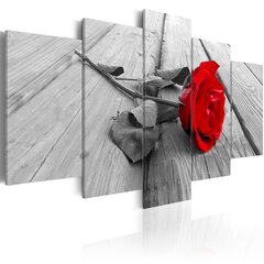 Kuva - Rose on Wood (5 Parts) Wide Red hinta ja tiedot | Taulut | hobbyhall.fi