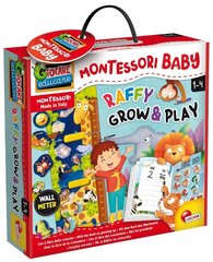 Montessori-vauvapeli - kasvua ja hauskaa hinta ja tiedot | Kehittävät lelut | hobbyhall.fi