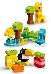 LEGO Duplo Creative Eläimet lohkot 10934 hinta ja tiedot | LEGOT ja rakennuslelut | hobbyhall.fi