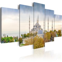 Kuva - Hagia Sophia - Istanbul, Turkey hinta ja tiedot | Taulut | hobbyhall.fi