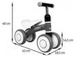 PettyTrike kaksipyöräinen tasapainopyörä, valkoinen hinta ja tiedot | Potkupyörät | hobbyhall.fi