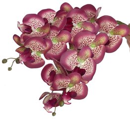 Keinotekoinen orkidea, 5 kpl hinta ja tiedot | Keinotekoiset kukat | hobbyhall.fi