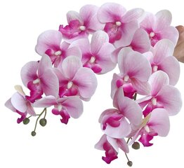Keinotekoinen orkidea, 5 kpl hinta ja tiedot | Keinotekoiset kukat | hobbyhall.fi