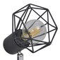 Teollistyylinen teräslanka spottivalot 2 kpl LED-hehkulamppu musta hinta ja tiedot | Kattovalaisimet | hobbyhall.fi