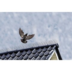 Nature Linnunestopiikit 6 kpl 32x11x18 cm hinta ja tiedot | Jyrsijöiden ja myyrien torjunta | hobbyhall.fi