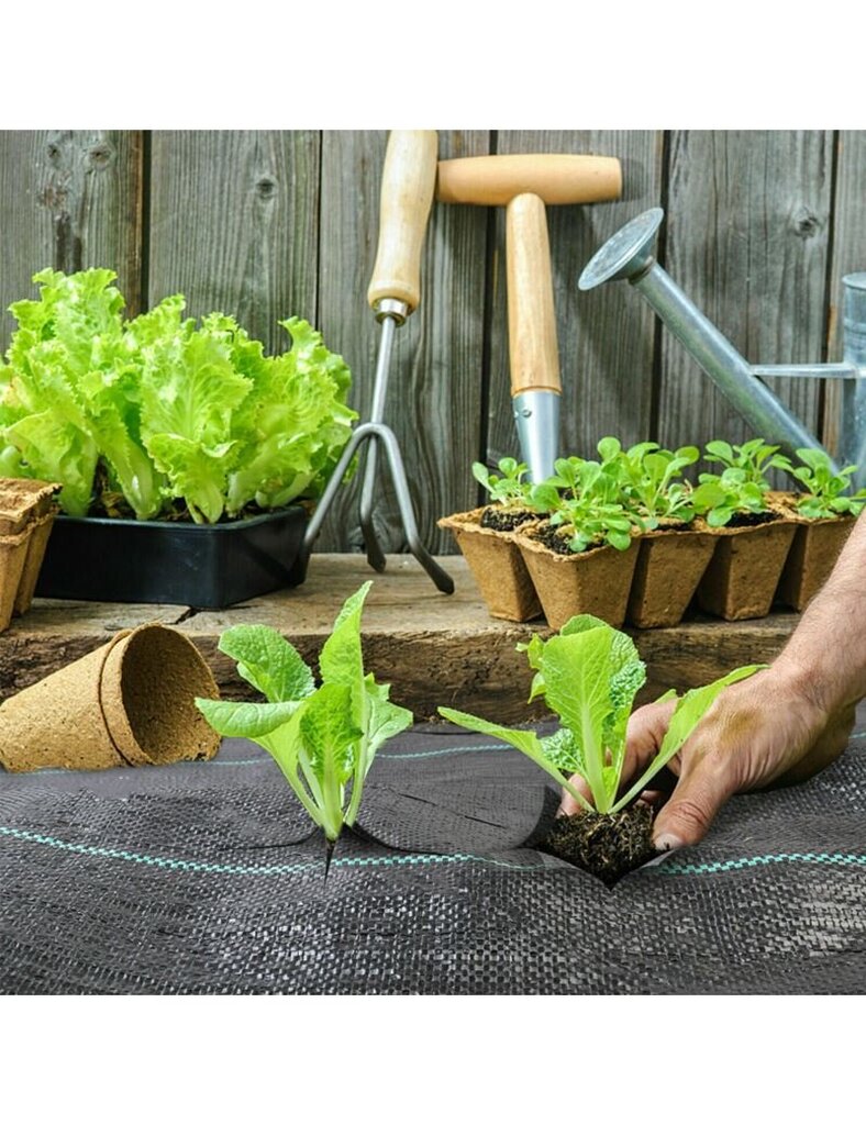 Agrotekstiili rikkaruohoja vastaan ​​John Green, musta 70g 1,6x100m hinta ja tiedot | Puutarhatyökalut | hobbyhall.fi