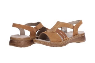 Naisten sandaalit Ara 43186, ruskeat hinta ja tiedot | Ara Naisille | hobbyhall.fi