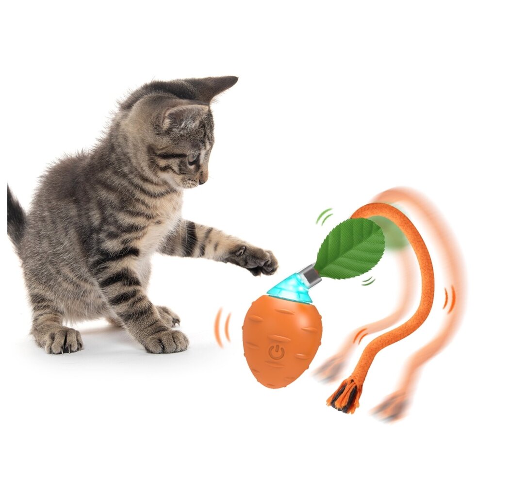 Interaktiivinen älykäs lelu kissoille pallo Smart Cat Ball Carrot hinta ja tiedot | Kissan lelut | hobbyhall.fi