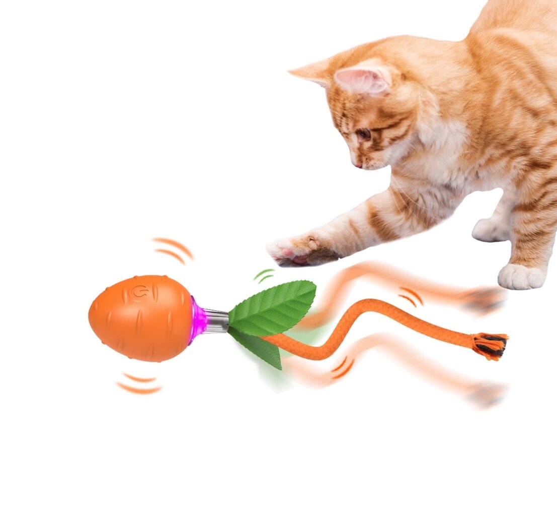 Interaktiivinen älykäs lelu kissoille pallo Smart Cat Ball Carrot hinta ja tiedot | Kissan lelut | hobbyhall.fi