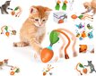 Interaktiivinen älykäs lelu kissoille pallo Smart Cat Ball Carrot hinta ja tiedot | Kissan lelut | hobbyhall.fi