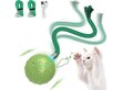 Interaktiivinen älykäs lelu kissoille pallo Smart Cat Ball Carrot hinta ja tiedot | Kissan lelut | hobbyhall.fi