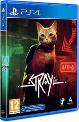 Stray PS4 hinta ja tiedot | Annapurna Interactive Tietokoneet ja pelaaminen | hobbyhall.fi
