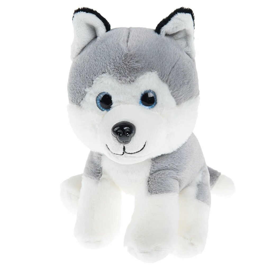 Plyysikoira Husky, Smiki, 18 cm hinta ja tiedot | Pehmolelut | hobbyhall.fi