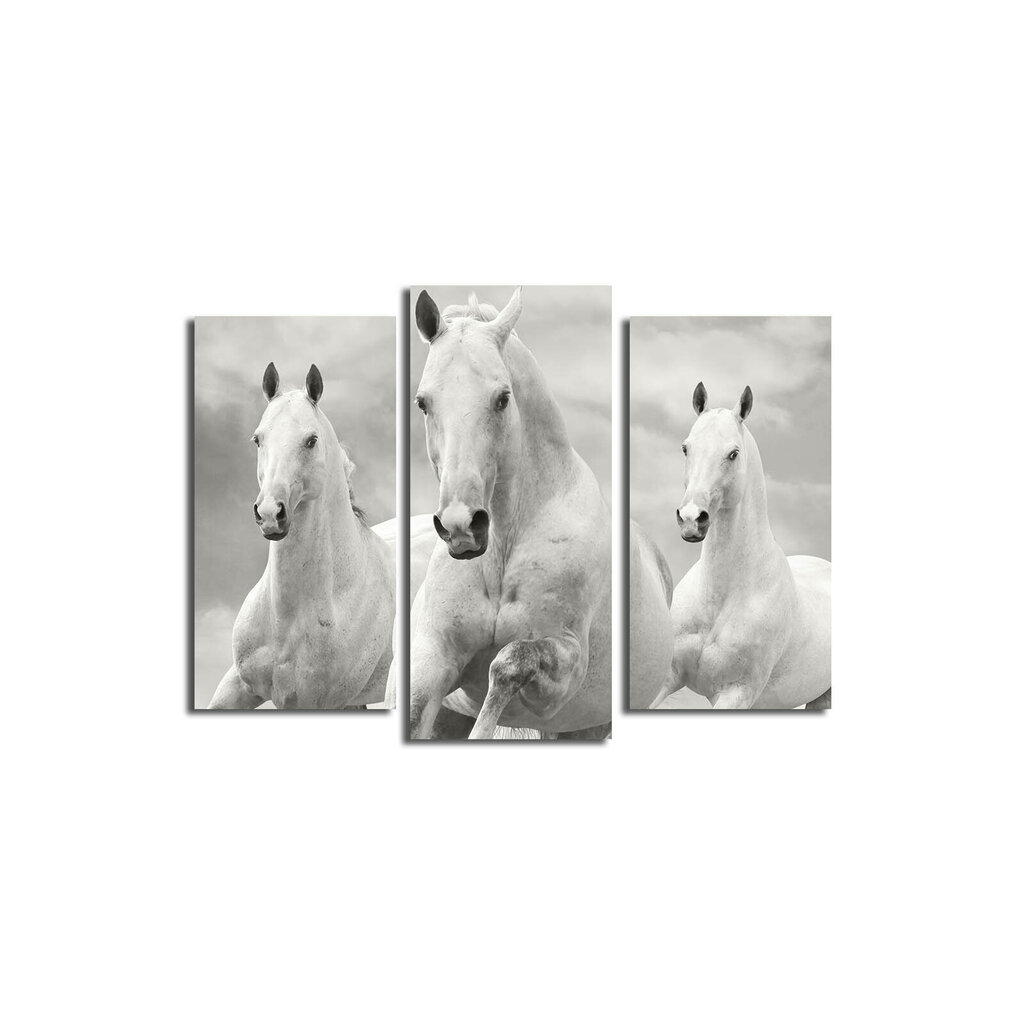 Kolmiosainen taulu Kolme valkoista hevosta hinta ja tiedot | Taulut | hobbyhall.fi