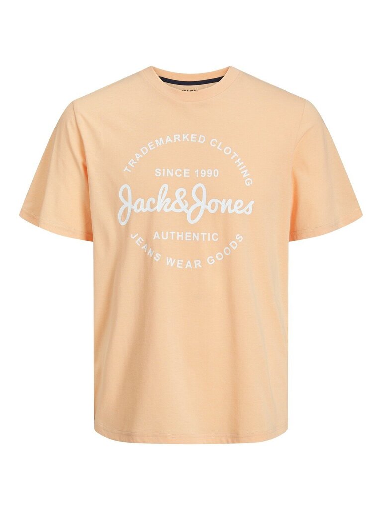 Jack & Jones lasten T-paita 12249723*01, huhtikuu 5715510996679 hinta ja tiedot | Poikien paidat | hobbyhall.fi