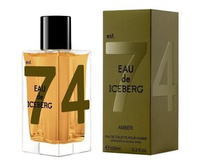 Iceberg Eau de Iceberg Amber EDT miehille 100 ml hinta ja tiedot | Iceberg Hajuvedet ja tuoksut | hobbyhall.fi