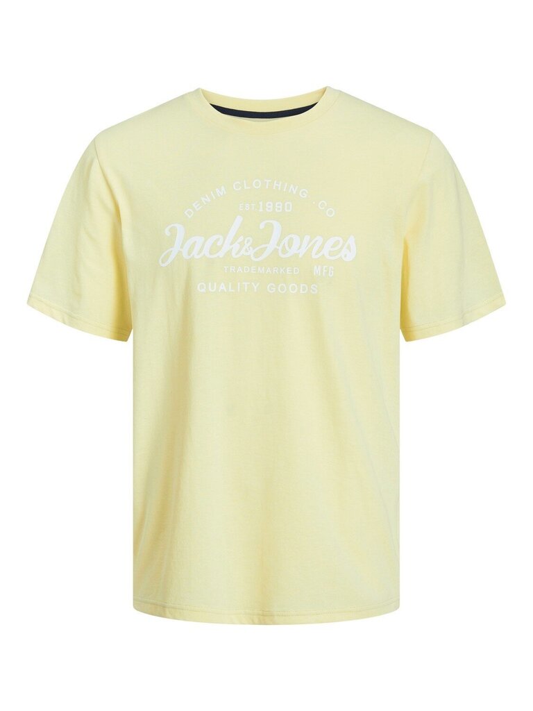 Jack & Jones lasten T-paita 12249723*02, h.kol/vanil 5715510996686 hinta ja tiedot | Poikien paidat | hobbyhall.fi