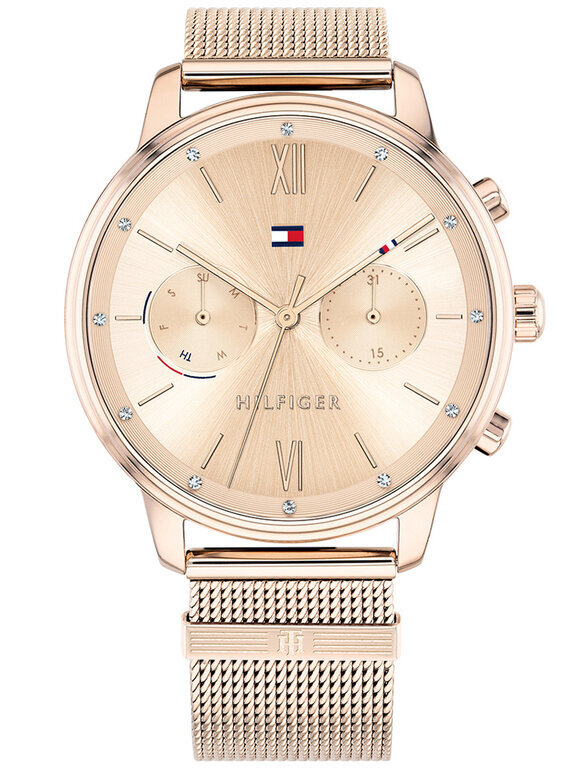 Tommy Hilfiger naisten kello 1782303 blake (zf515d) hinta ja tiedot | Naisten kellot | hobbyhall.fi