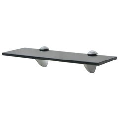 vidaXL Kelluvat hyllyt 2 kpl lasi 30x10 cm 8 mm hinta ja tiedot | Hyllyt | hobbyhall.fi