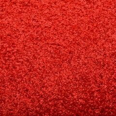 vidaXL Ovimatto pestävä punainen 40x60 cm hinta ja tiedot | Ovimatot | hobbyhall.fi