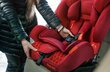 Coletto Vivaro Isofix-vauvan turvaistuin, 9-36 kg, tummansininen hinta ja tiedot | Turvaistuimet | hobbyhall.fi