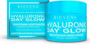 Kasvovoide Biovène Hyaluronic Day Glow, 50 ml hinta ja tiedot | Kasvovoiteet | hobbyhall.fi