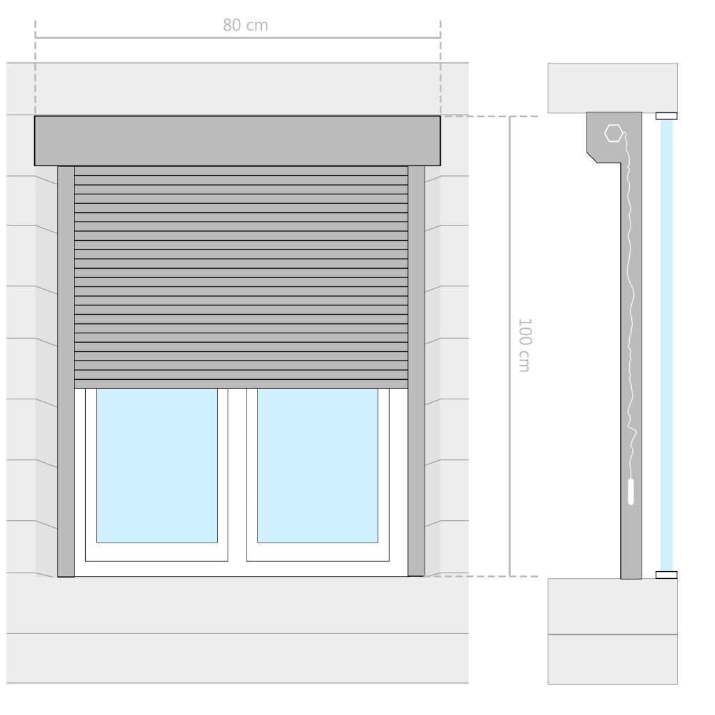 vidaXL Rullakaihdin alumiini 80x100 cm antrasiitti hinta ja tiedot | Kaihtimet | hobbyhall.fi