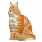 Rakennussetti Jekca, ST19MCC01-M01, Maine Coon, 5530 kpl hinta ja tiedot | LEGOT ja rakennuslelut | hobbyhall.fi