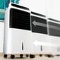 Portable Evaporative Air Cooler Cecotec EnergySilence PureTech 6500 500 m3/h 12 L Valkoinen hinta ja tiedot | Ilmastointilaitteet | hobbyhall.fi