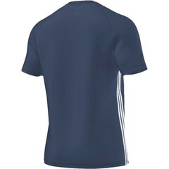 T-paita Adidas Euro hinta ja tiedot | Jalkapallovaatteet ja -varusteet | hobbyhall.fi