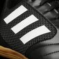 Adidas Jalkineet ACE 17.4 SALA Black hinta ja tiedot | Jalkapallokengät | hobbyhall.fi