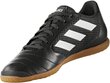 Adidas Jalkineet ACE 17.4 SALA Black hinta ja tiedot | Jalkapallokengät | hobbyhall.fi