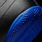 Adidas Jalkineet ACE 17.4 IN Black Blue hinta ja tiedot | Jalkapallokengät | hobbyhall.fi