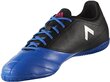 Adidas Jalkineet ACE 17.4 IN Black Blue hinta ja tiedot | Jalkapallokengät | hobbyhall.fi