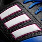 Adidas Jalkineet ACE 17.4 IN Black Blue hinta ja tiedot | Jalkapallokengät | hobbyhall.fi