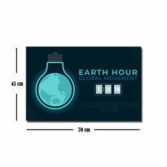 Taulu Earth Hour hinta ja tiedot | Taulut | hobbyhall.fi