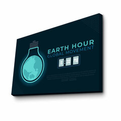 Taulu Earth Hour hinta ja tiedot | Taulut | hobbyhall.fi