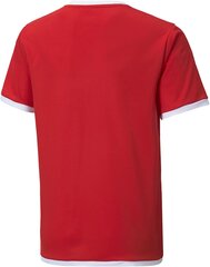Puma unisex-lapsen paita, Puma Red-Puma White, 116 hinta ja tiedot | Jalkapallovaatteet ja -varusteet | hobbyhall.fi