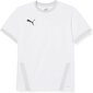 Puma Kinder TeamGoal 23 Jersey Jr T-paita, White Gray Violet, 128 hinta ja tiedot | Jalkapallovaatteet ja -varusteet | hobbyhall.fi