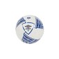 Sisäjalkapallo Umbro NEO SWERVE 21307U 759 Valkoinen hinta ja tiedot | Jalkapallot | hobbyhall.fi