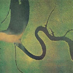 LP The Serpent's Egg Vinyylilevy hinta ja tiedot | Vinyylilevyt, CD-levyt, DVD-levyt | hobbyhall.fi