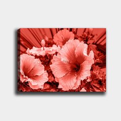 Kuva kankaalla Punainen hibiskus hinta ja tiedot | Taulut | hobbyhall.fi