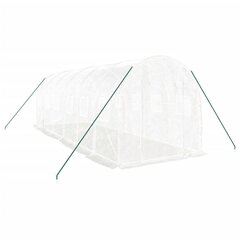 vidaXL Kasvihuone teräsrungolla valkoinen 12 m² 6x2x2 m hinta ja tiedot | Kasvihuoneet | hobbyhall.fi