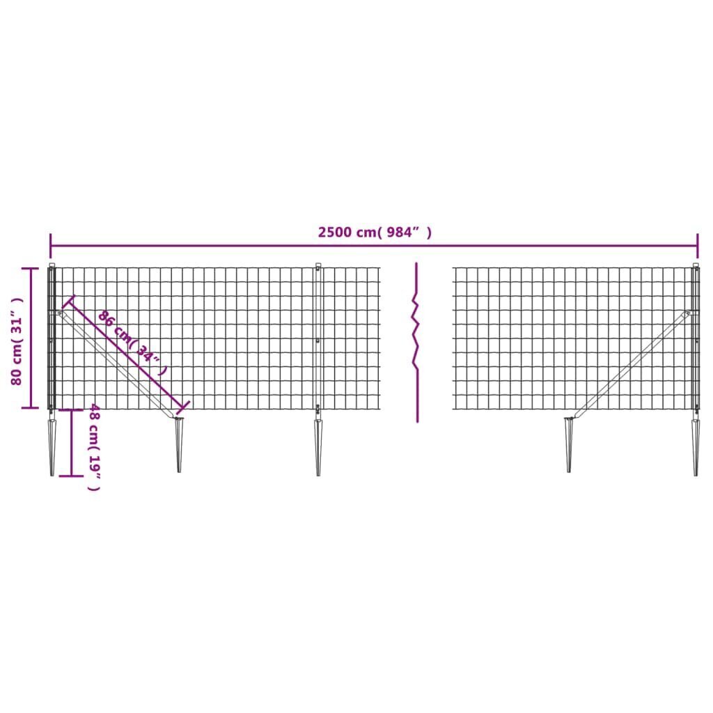 vidaXL Verkkoaita maapiikeillä antrasiitti 0,8x25 m hinta ja tiedot | Aidat ja tarvikkeet | hobbyhall.fi