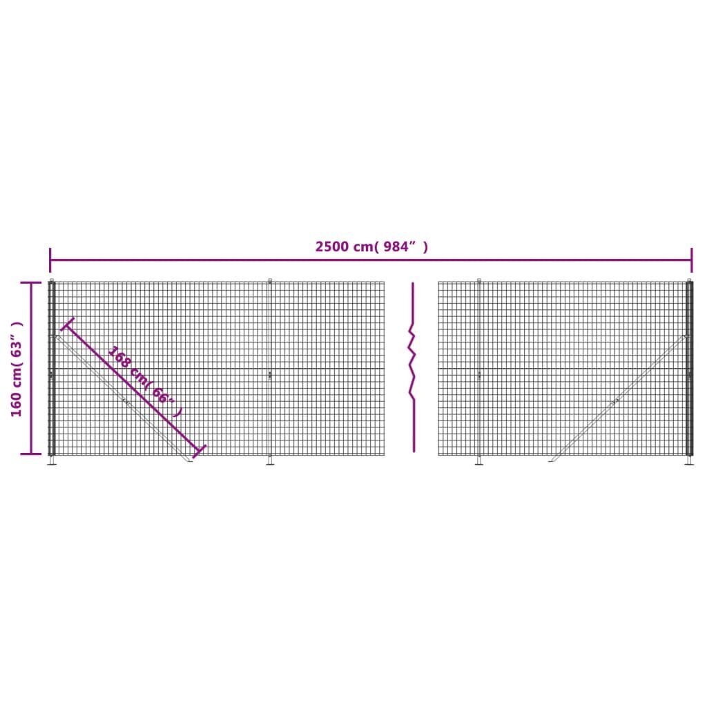 vidaXL Verkkoaita laipalla antrasiitti 1,6x25 m hinta ja tiedot | Aidat ja tarvikkeet | hobbyhall.fi