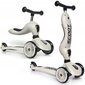 2in1 lasten potkulauta SCOOT & RIDE hinta ja tiedot | Potkulaudat | hobbyhall.fi