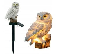Puutarha LED-valaisin Owl hinta ja tiedot | Puutarha- ja ulkovalot | hobbyhall.fi